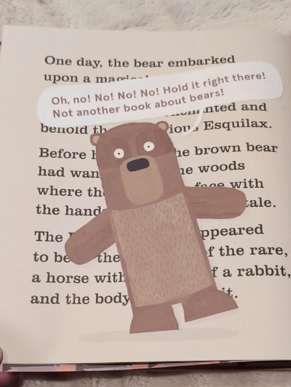 Another Book About Bears - Brown Kids Learning Book by